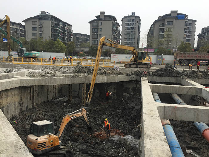 長(zhǎng)臂挖機(jī)(3)